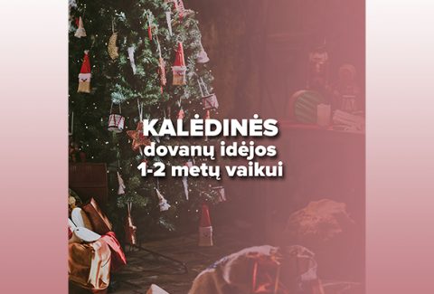 Kaledu dovanu idejos vaikui-120procentu_lt-5