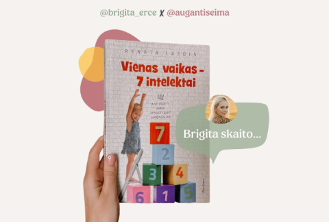 Vienas vaikas 7 intelektai