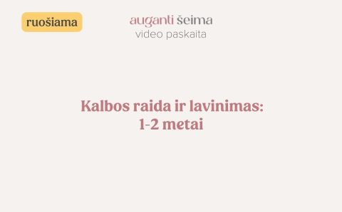 Rinkinyspaskaita yra ruošiamas-15