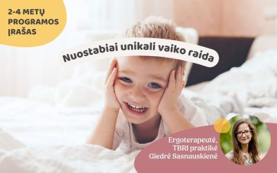 Rinkinyspaskaita yra ruošiamas (2)